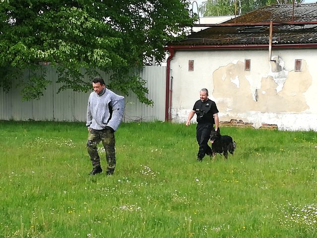 11 Prevence trochu jinak OOP Kaplice 2018 -11.jpg