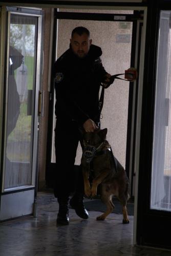 11 přebor kynologů 2014