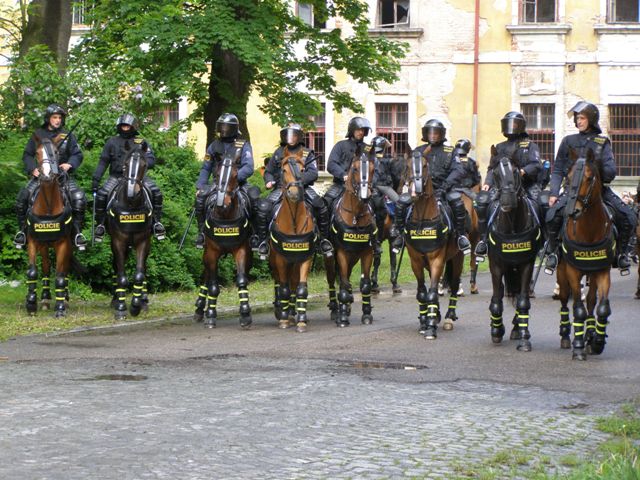 14 - MN 2010