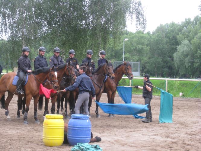 14 vlajkonoši