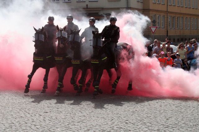 17Den s modrým majákem 2014