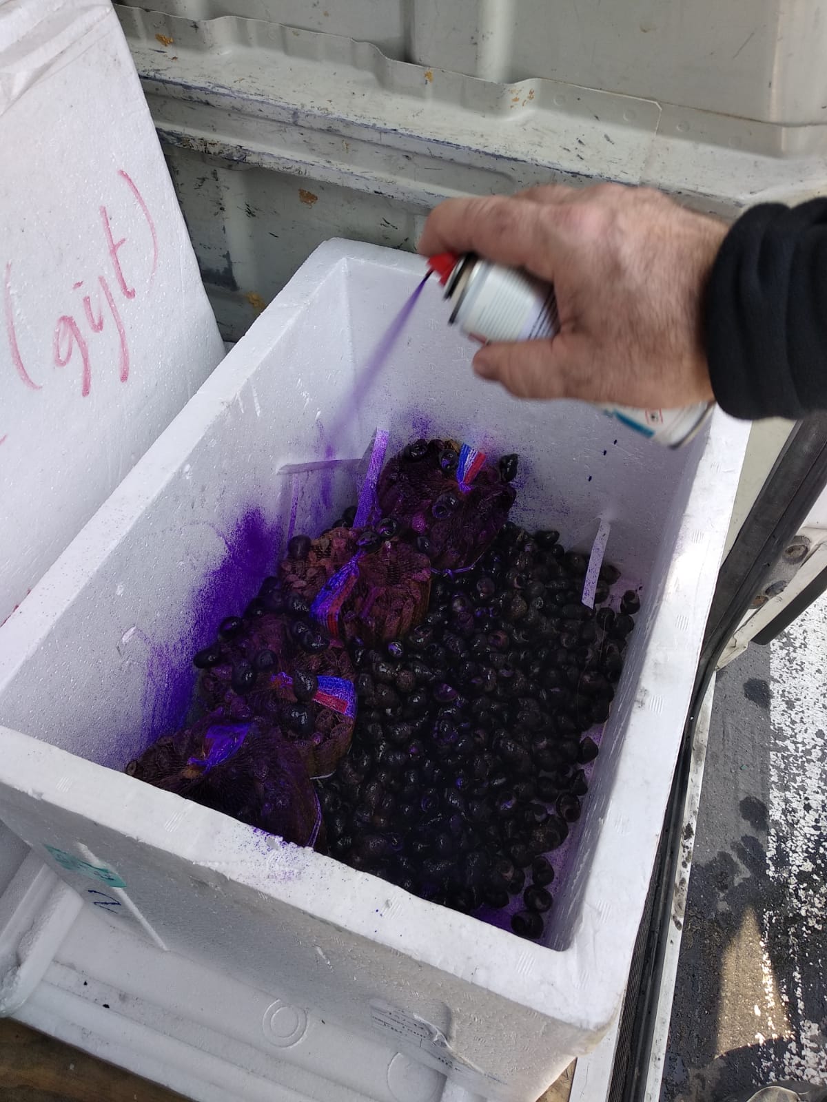 18 kontroly na tržnici (18).jpg