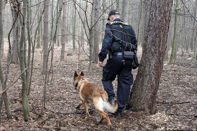 19 patraci akce Vlcnov