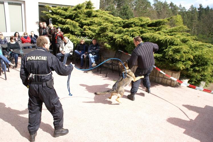 19 přebor kynologů 2014