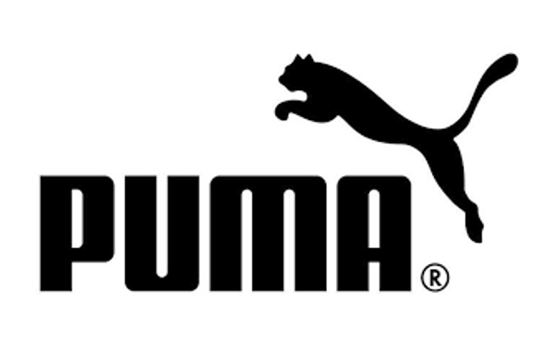 2 PUMA.jpg