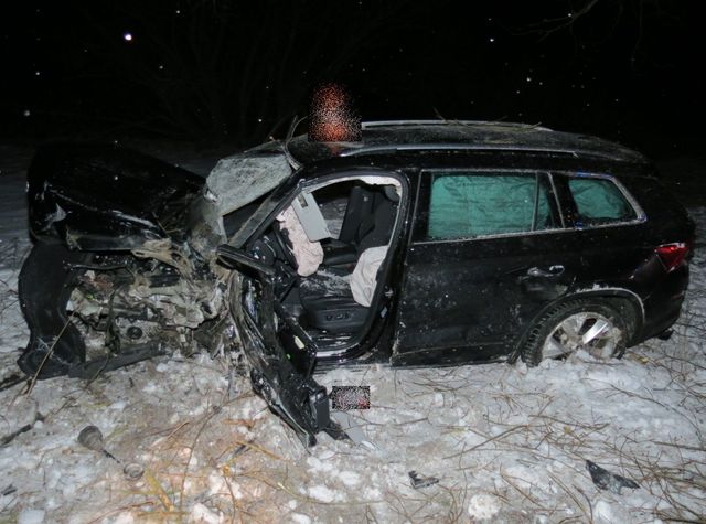 2 DN Hořice 15.1.2019 Škoda Kodiak 2.JPG