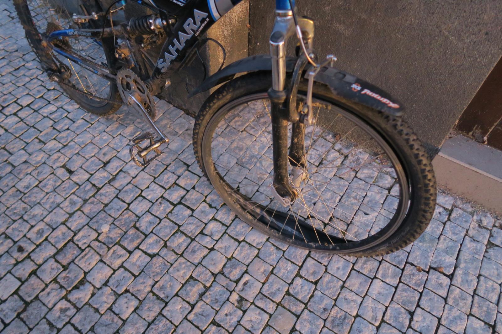 2 DN JN cyklo (2).JPG