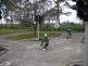 2 DSCN3202