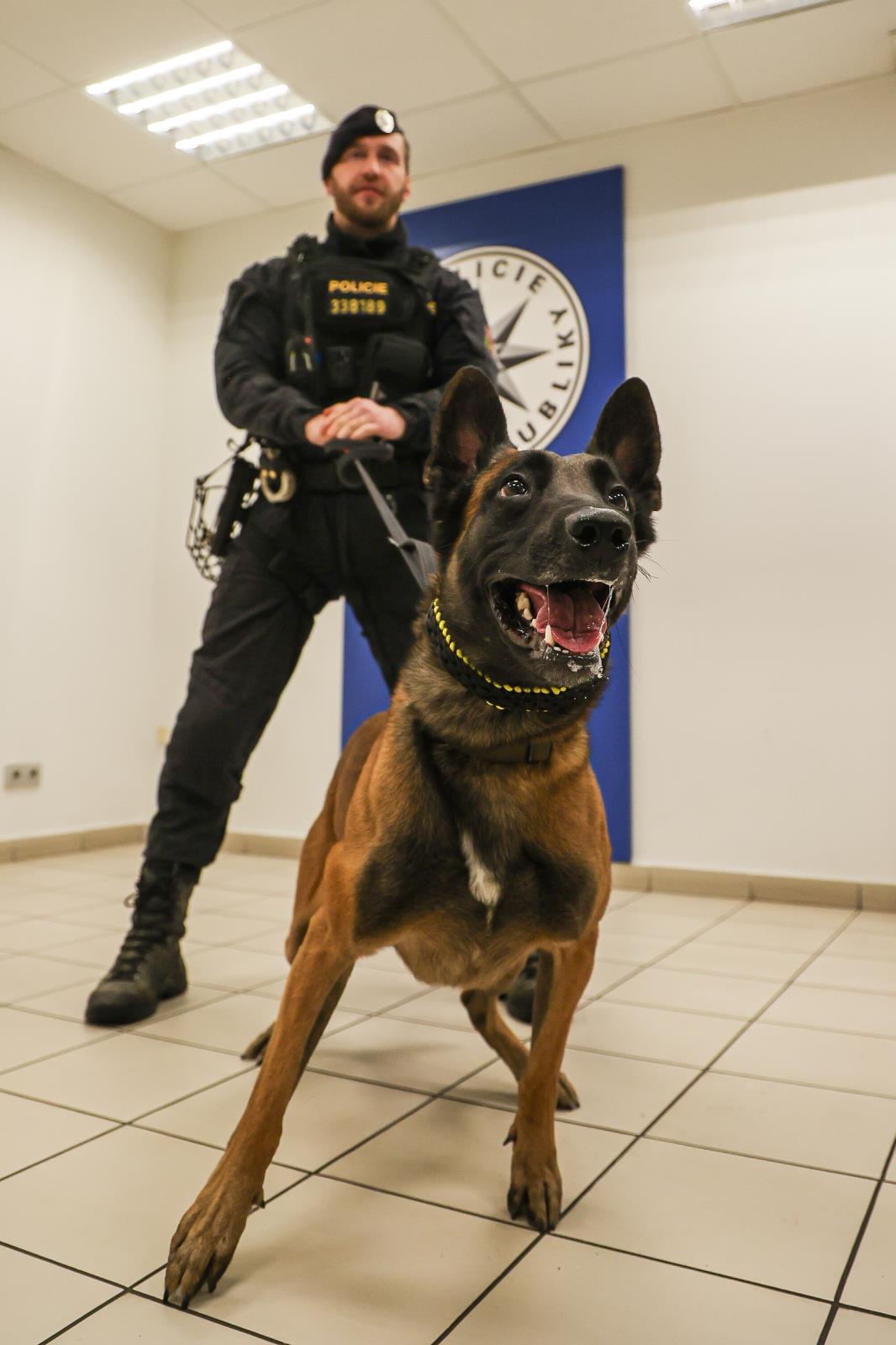 2 Dan a pes Bobík2.jpg