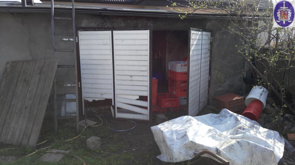 2 IMG_20160405_101732.jpg