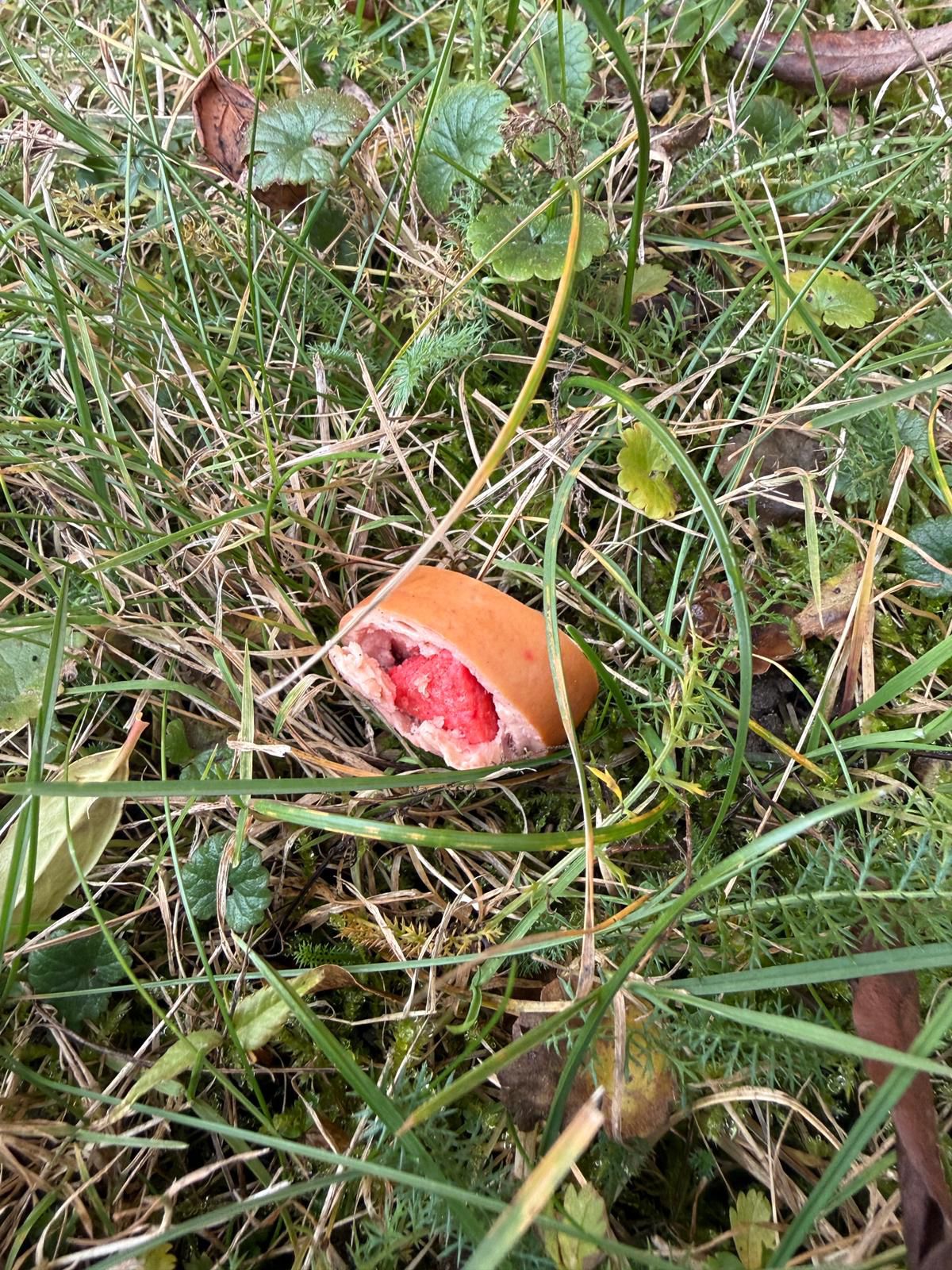 2 Nalezená uzenina (2).jpg