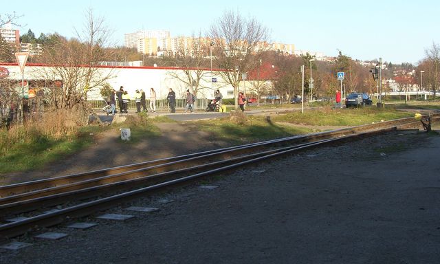 2 SH106732.JPG