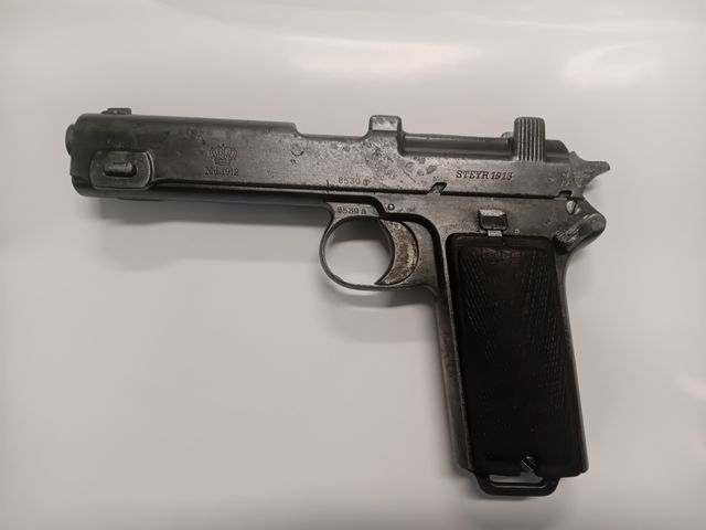 2 Steyr.jpg