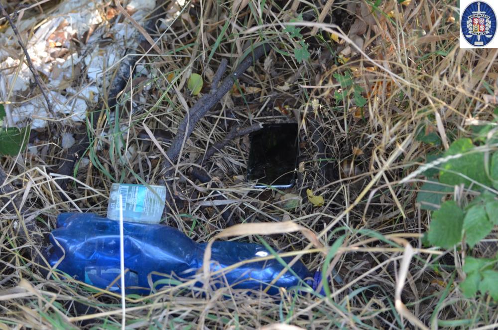 2 Telefon ve křoví.jpg