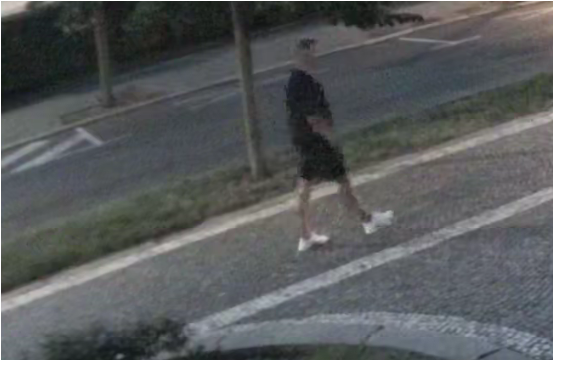 2 svědek2.png