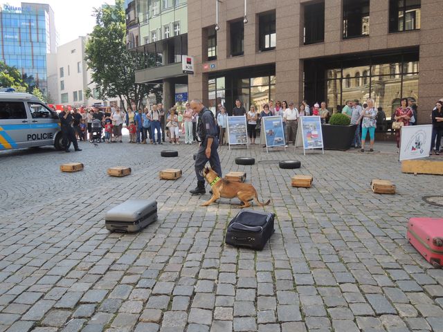 2.JPG