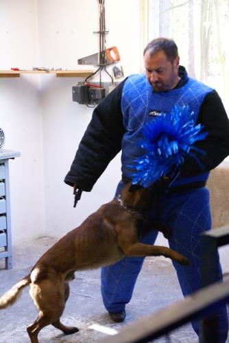 20 přebor kynologů 2014