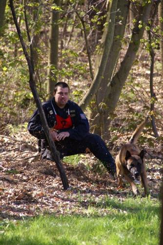 22 přebor kynologů 2014