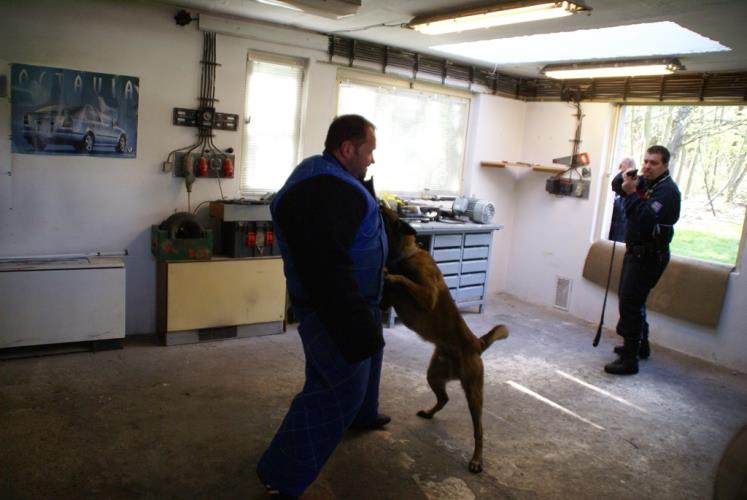 24 přebor kynologů 2014