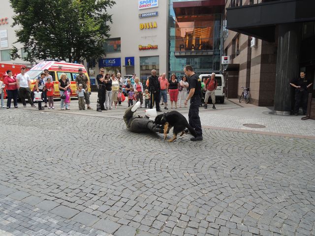 24.JPG
