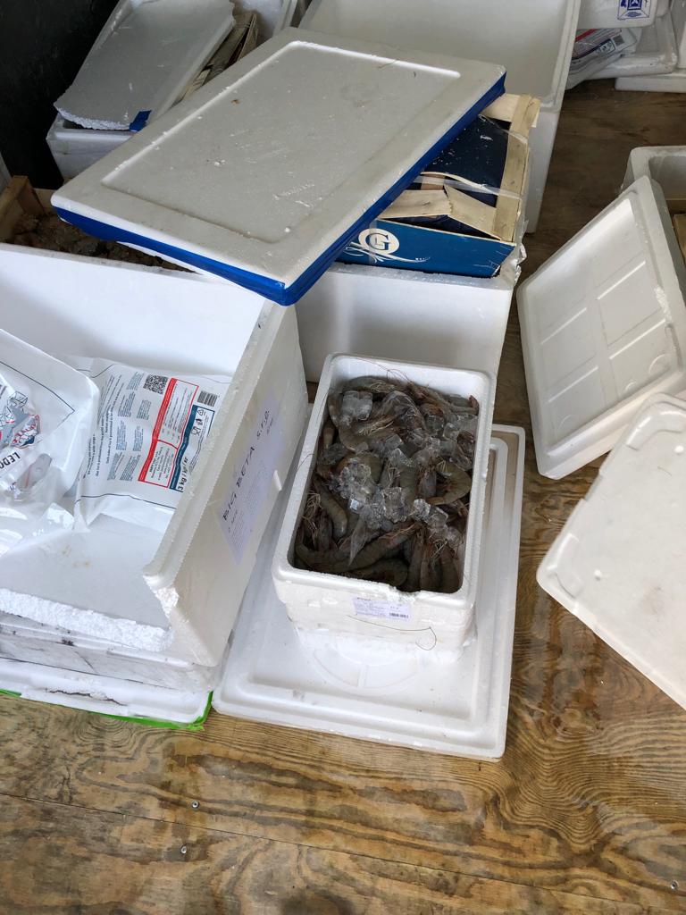 26 kontroly na tržnici (26).jpg