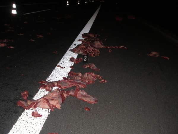 29.9.2008 - nehoda na D11, vysypané masné výrobky.jpg
