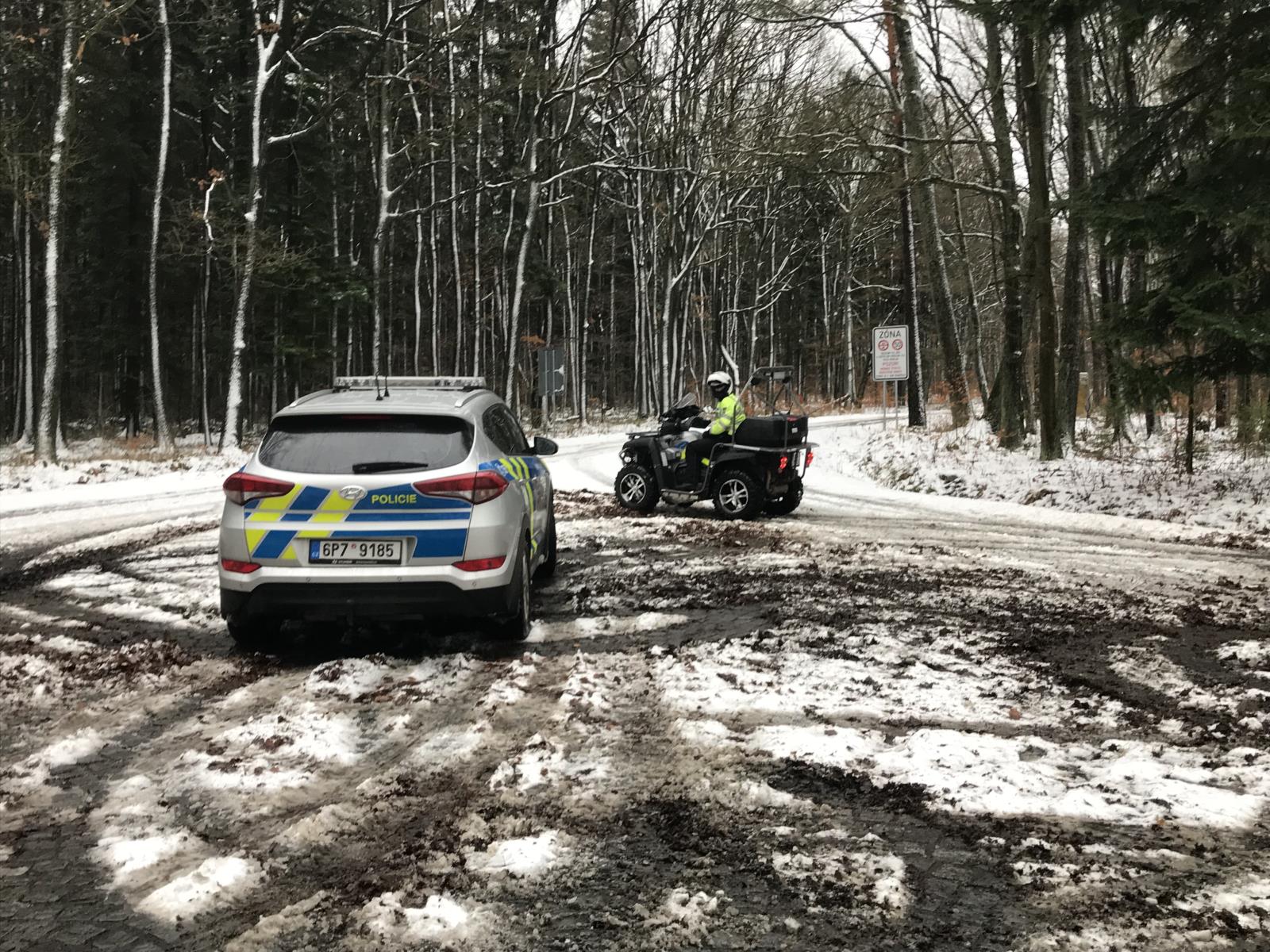 3 CHKO Brdy - leden 2019 (6).JPG