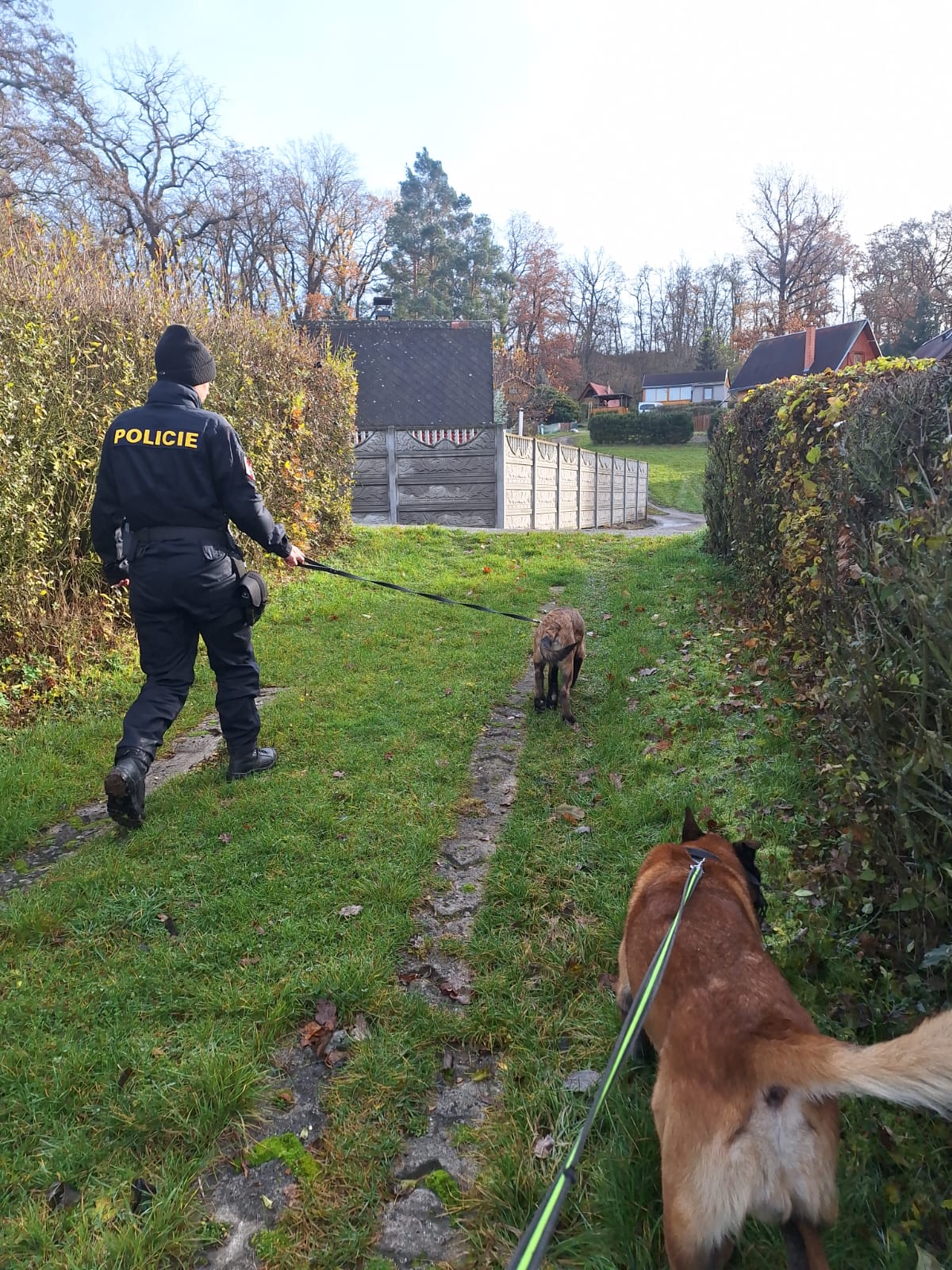 3 Chaty 2025 (3).jpeg