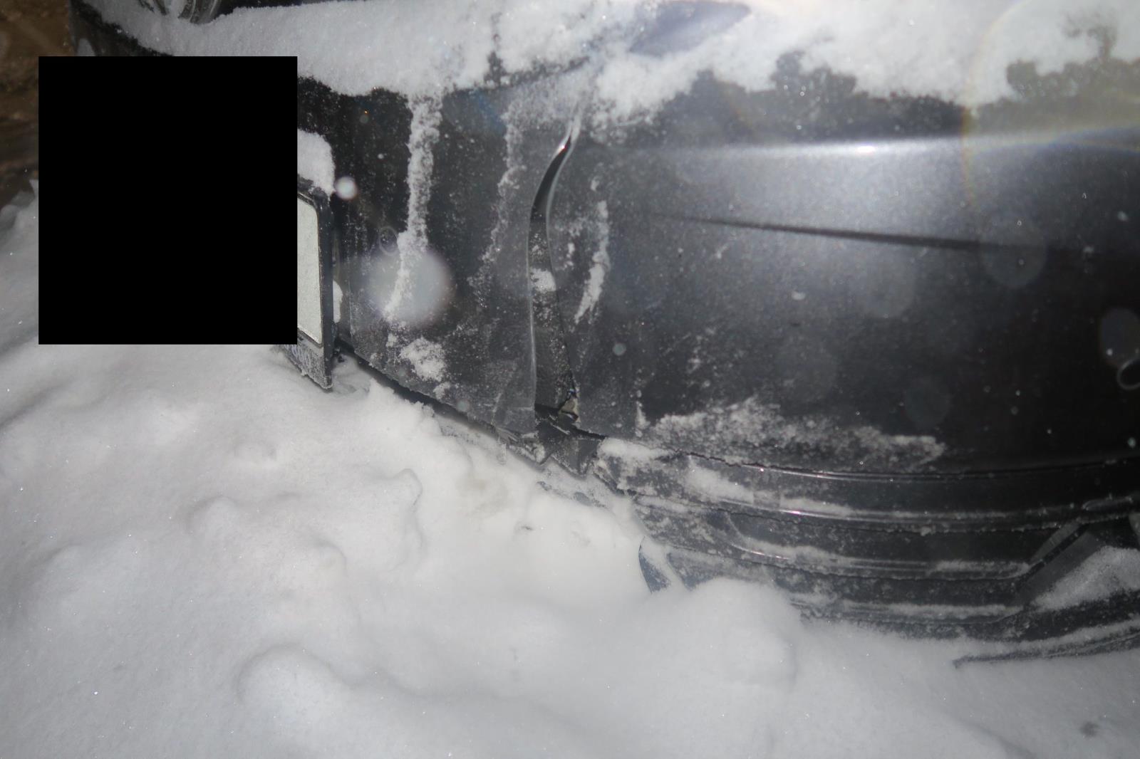 3 DN JN Dr. Randy (3).JPG