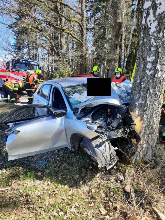 3 DN Mříčná (3).jpg