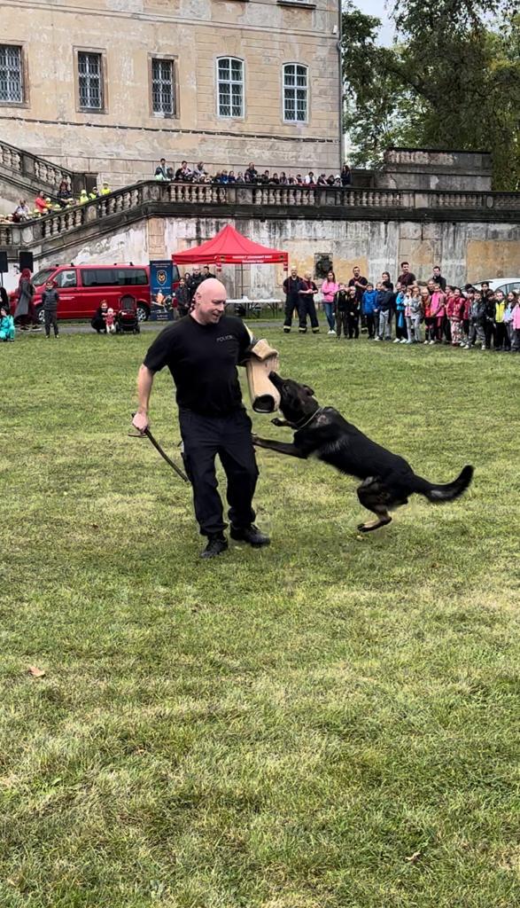 3 IMG-20231016-WA0022.jpg