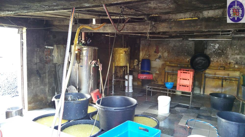 3 IMG_20160405_101746.jpg