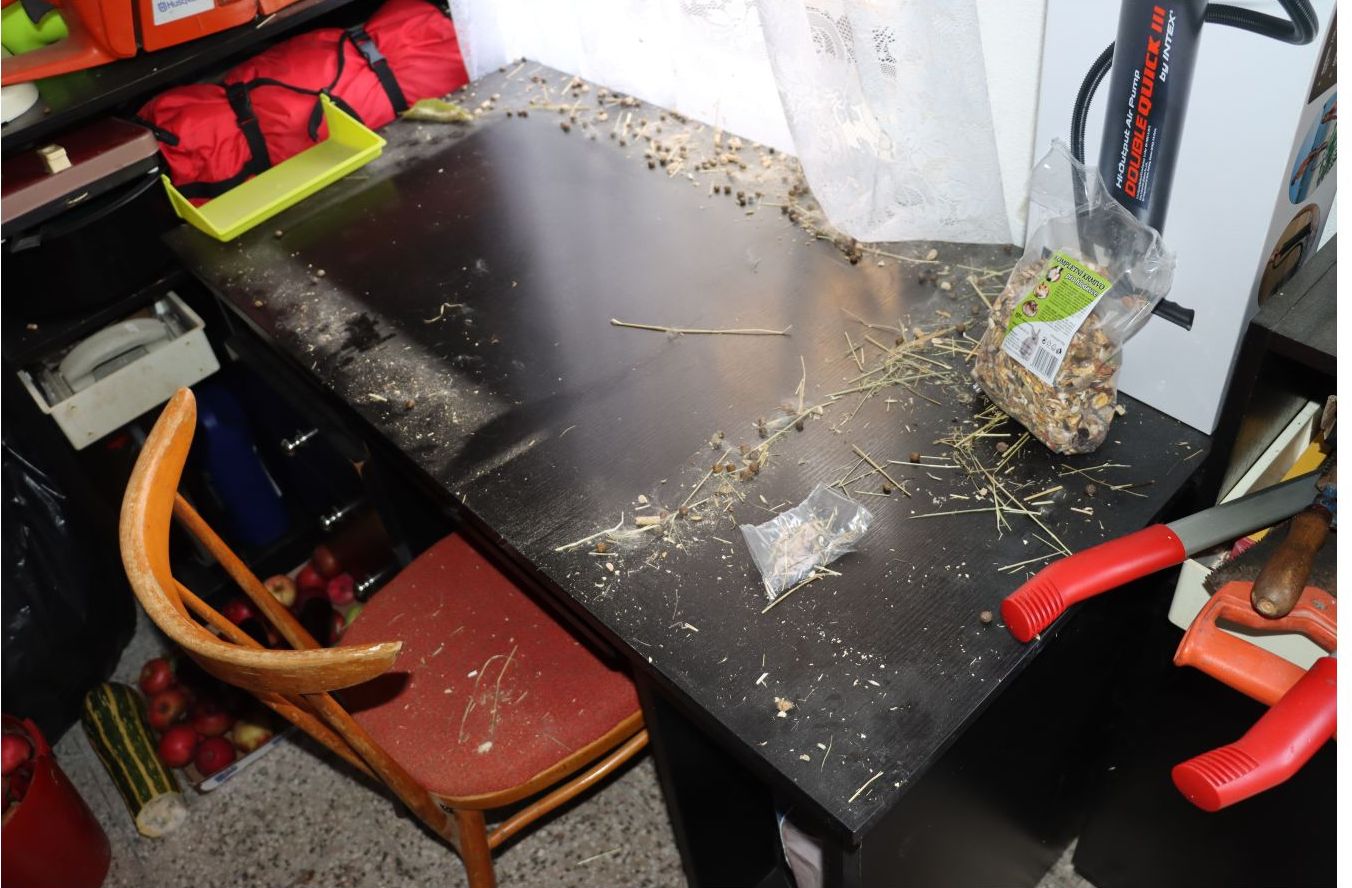 3 OMČ-klec králík.jpg