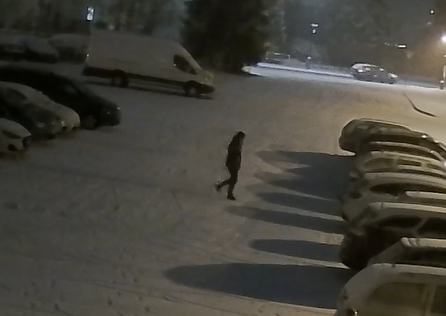 3 Plavecký bazén 1.png