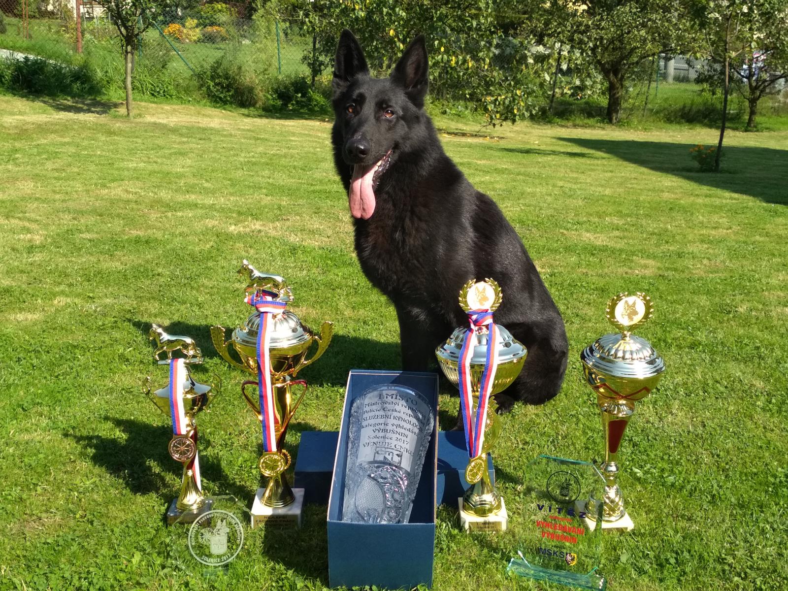 3 Policejní mistovství psovodů