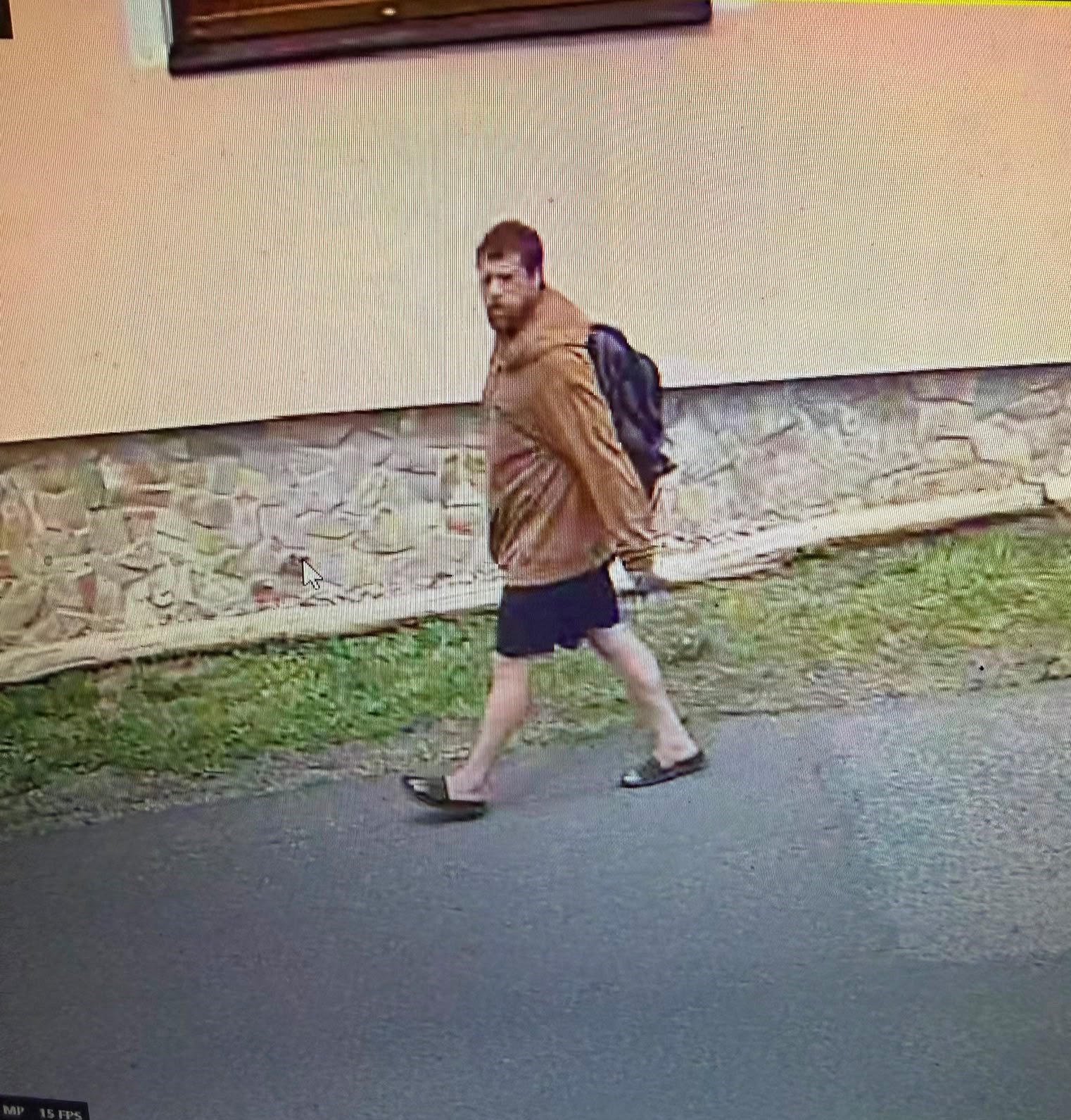 3 Svědek (2).jpg