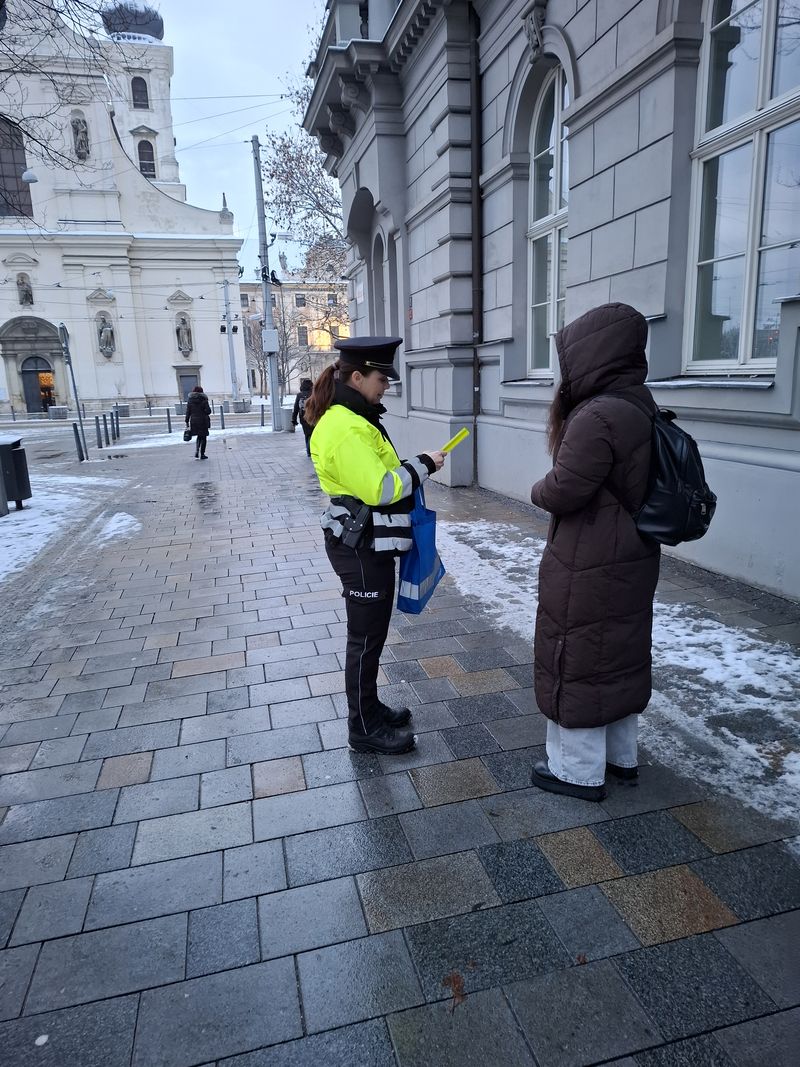 3 chodci (11) - kopie.jpg