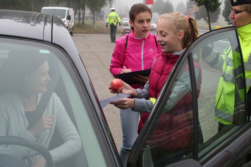 3 jabcitr_Letovice_2016 017.JPG