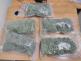3 zajištěná marihuana (3)