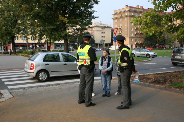 3. Zebra Hlavní třída.jpg