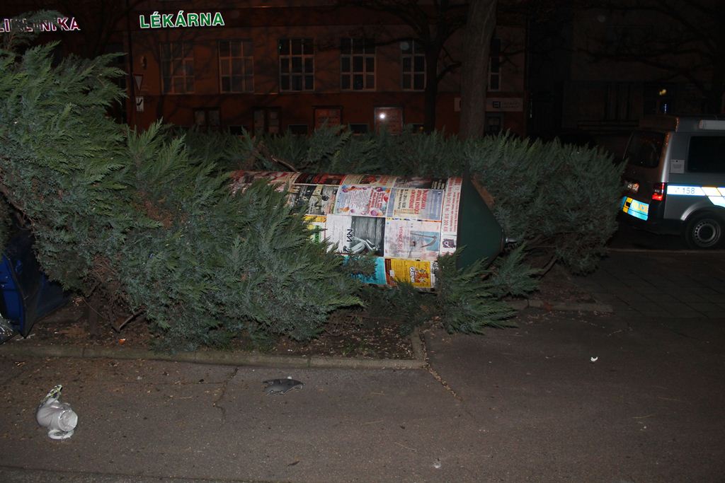 3.JPG