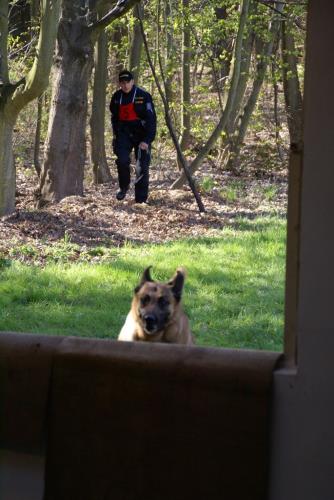 30 přebor kynologů 2014