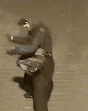 4 Pátrání po totožnosti muže 1.jpg