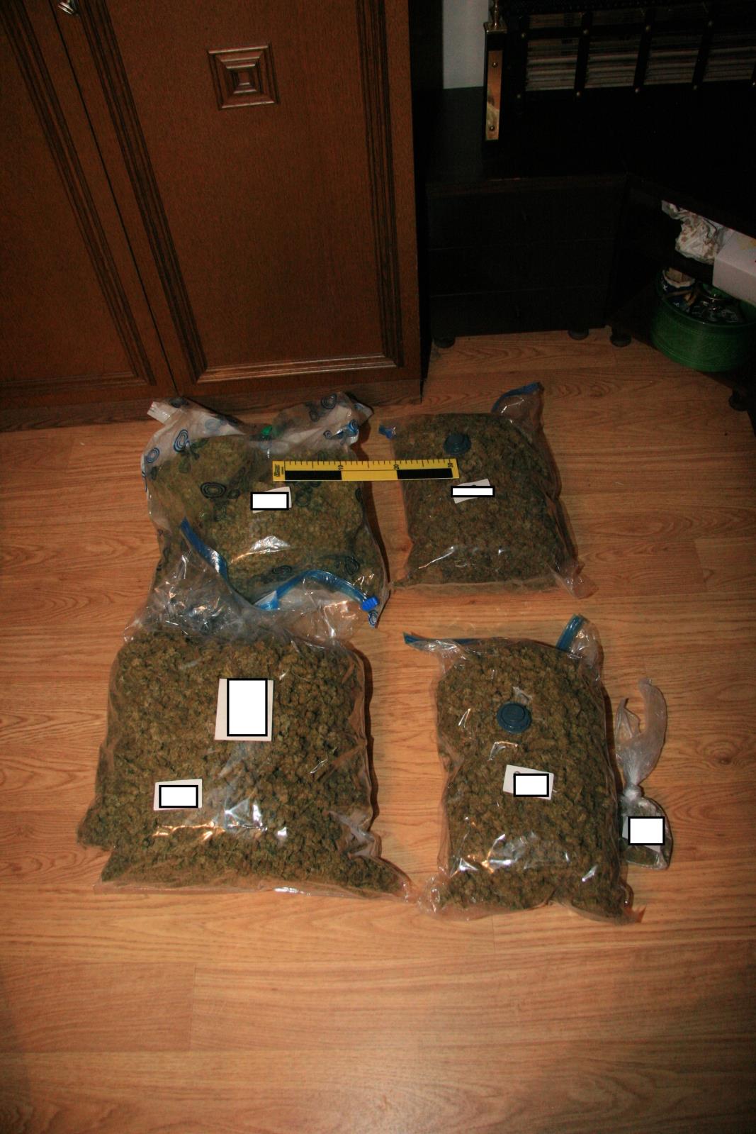 4 Zajištěná marihuana.JPG