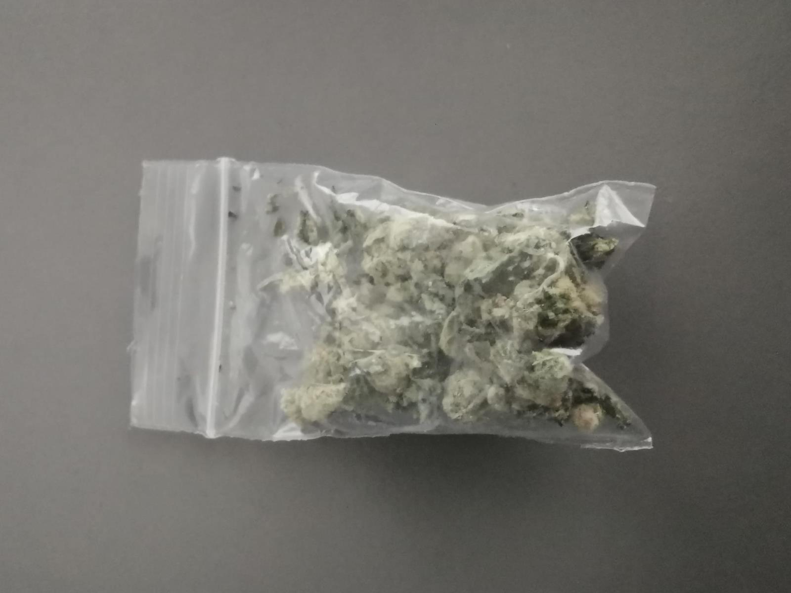 4 Zajištěná marihuana.jpeg