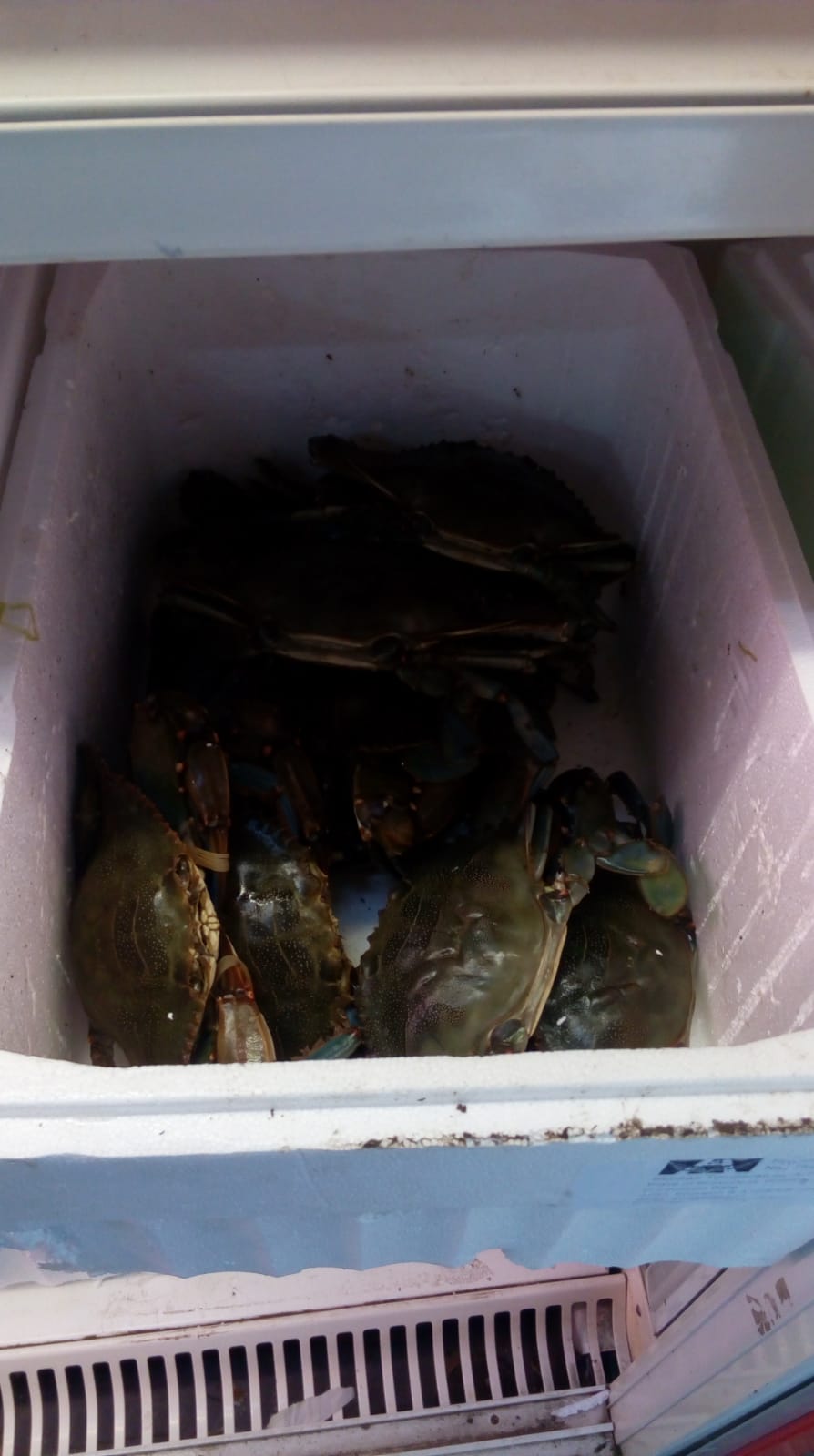 4 kontroly na tržnici (4).jpg