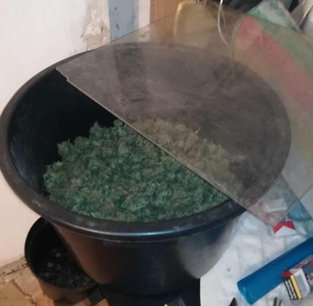 4 marihuana6.jpg