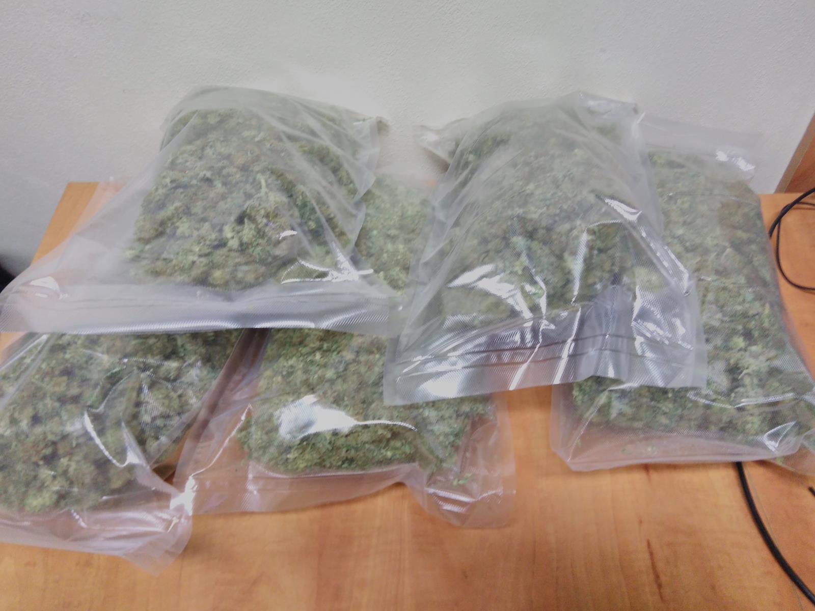 4 zajištěná marihuana (4).jpg