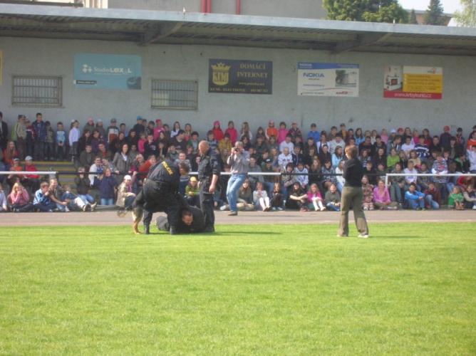 4.Polanka