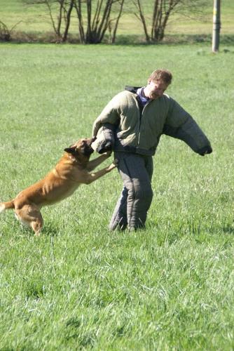 42 přebor kynologů 2014